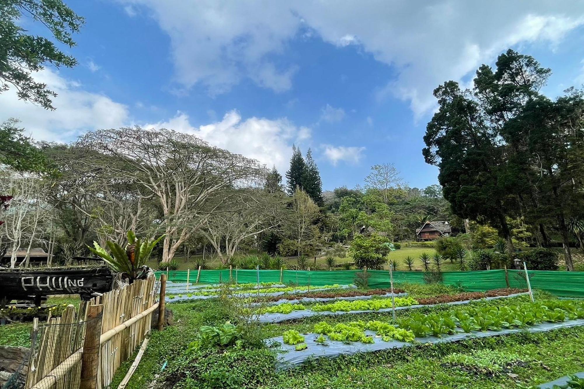 Phu Ing Fah Chiang Mai